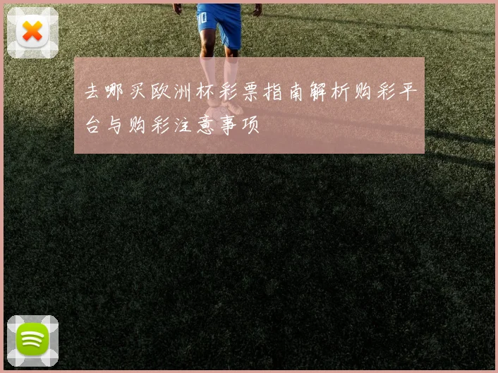 去哪买欧洲杯彩票指南解析购彩平台与购彩注意事项
