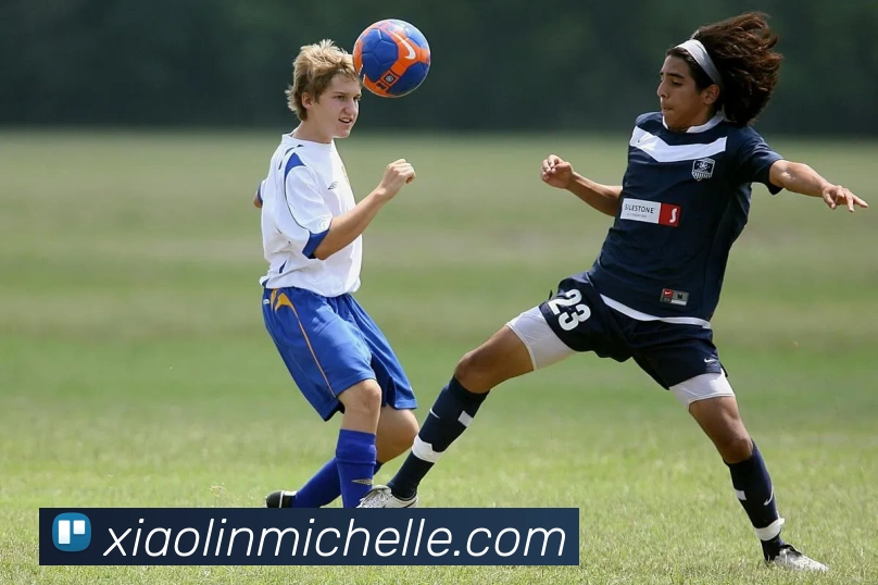 App Interface Preview