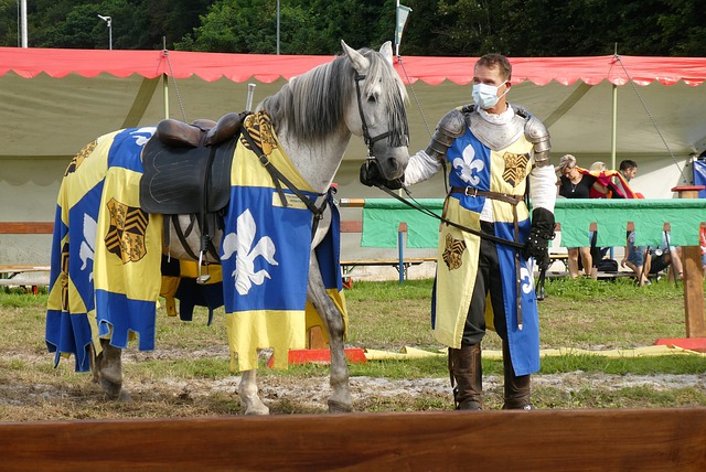 僅是過硬的 僅是過硬的