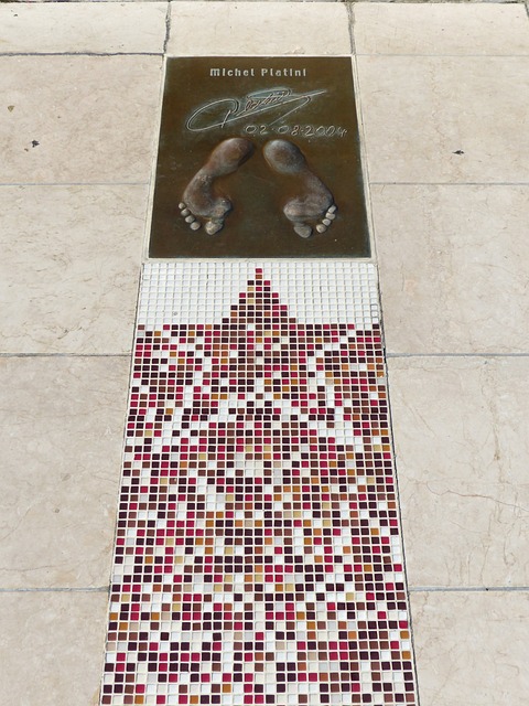 新秀开始崭 新秀开始崭