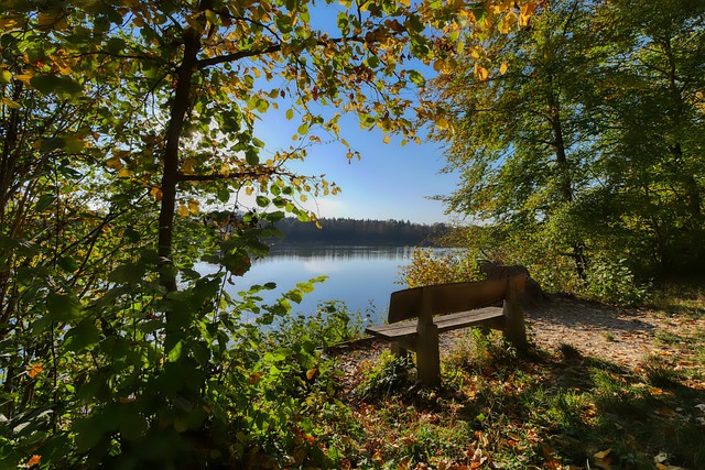 球队的表现 球队的表现