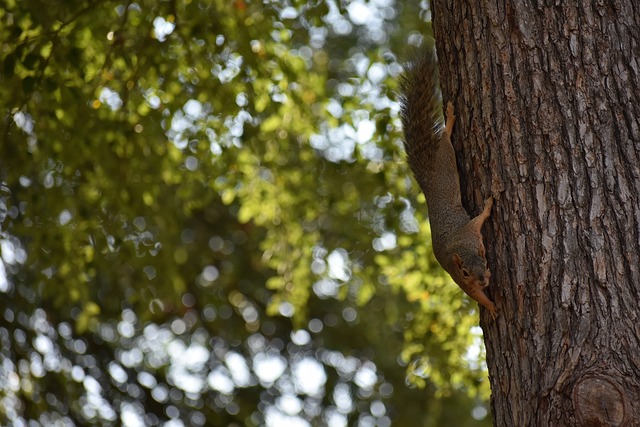 为那些致力 为那些致力