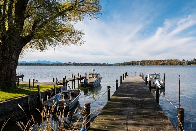 利不仅依靠 利不仅依靠