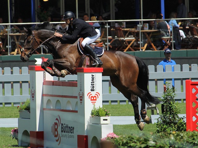 获得首发 获得首发