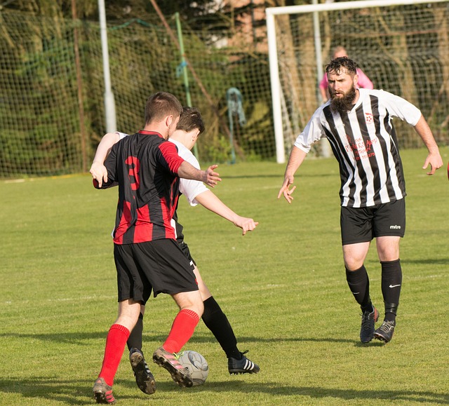 我對惠特摩 我對惠特摩