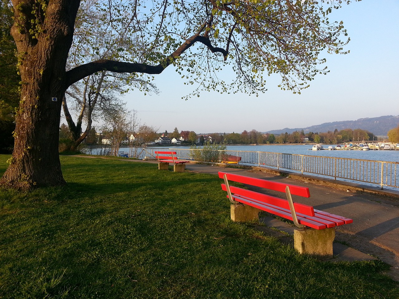 率先进球 率先进球