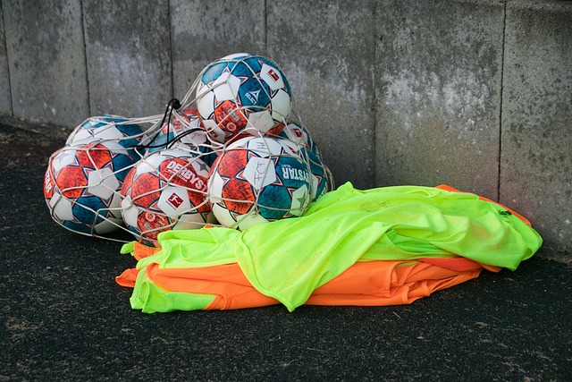 欧洲杯D组巡礼：法国以老带新 荷兰豪华后防.